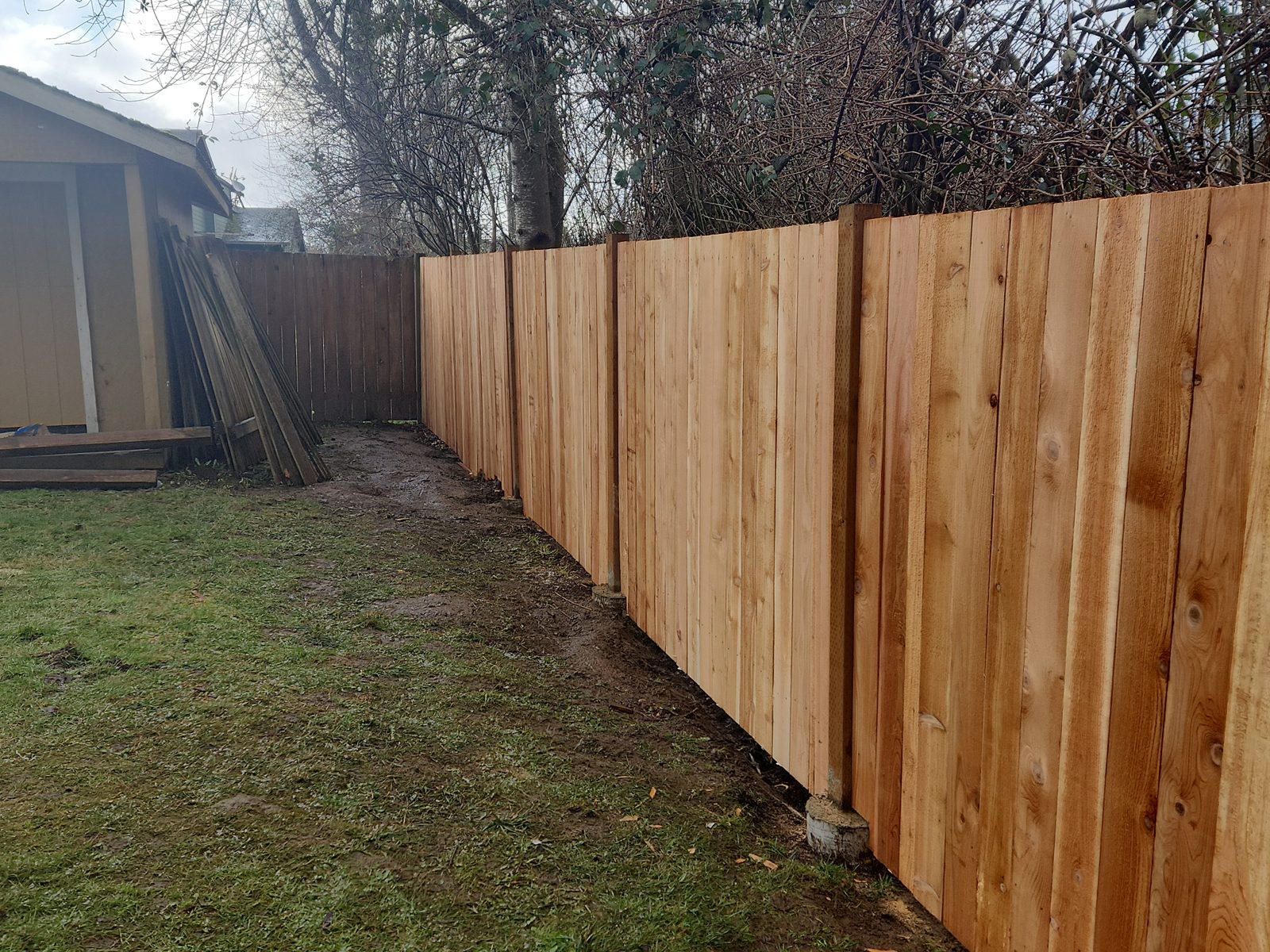 New cedar fence line completed