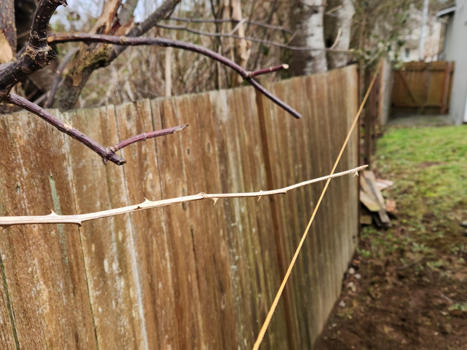 Old collapsing fence before replacement